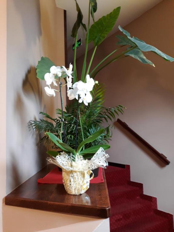 Guesthouse "Kod Cileta" photo