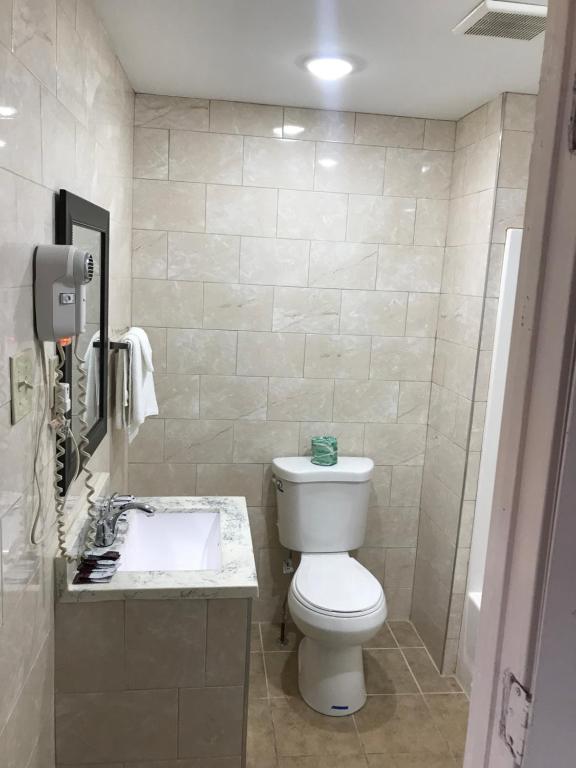 Ảnh 5