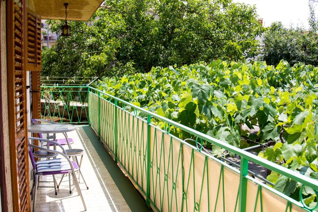 Green garden apartments photo