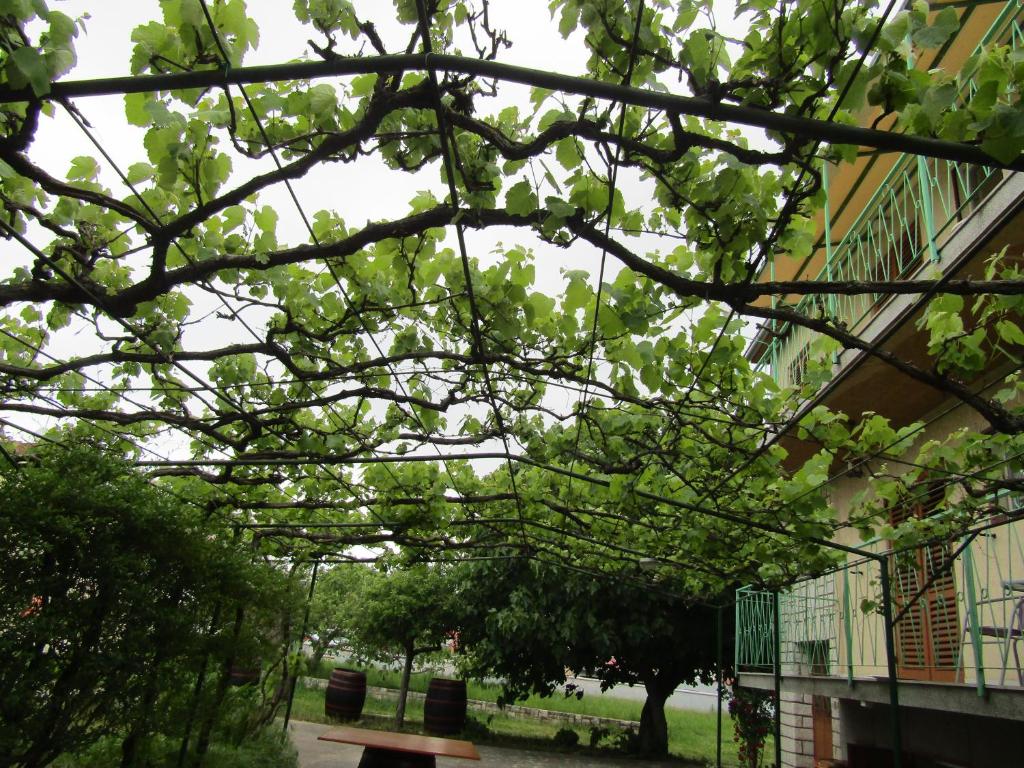 Green garden apartments photo