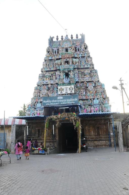 Ranga Residency photo