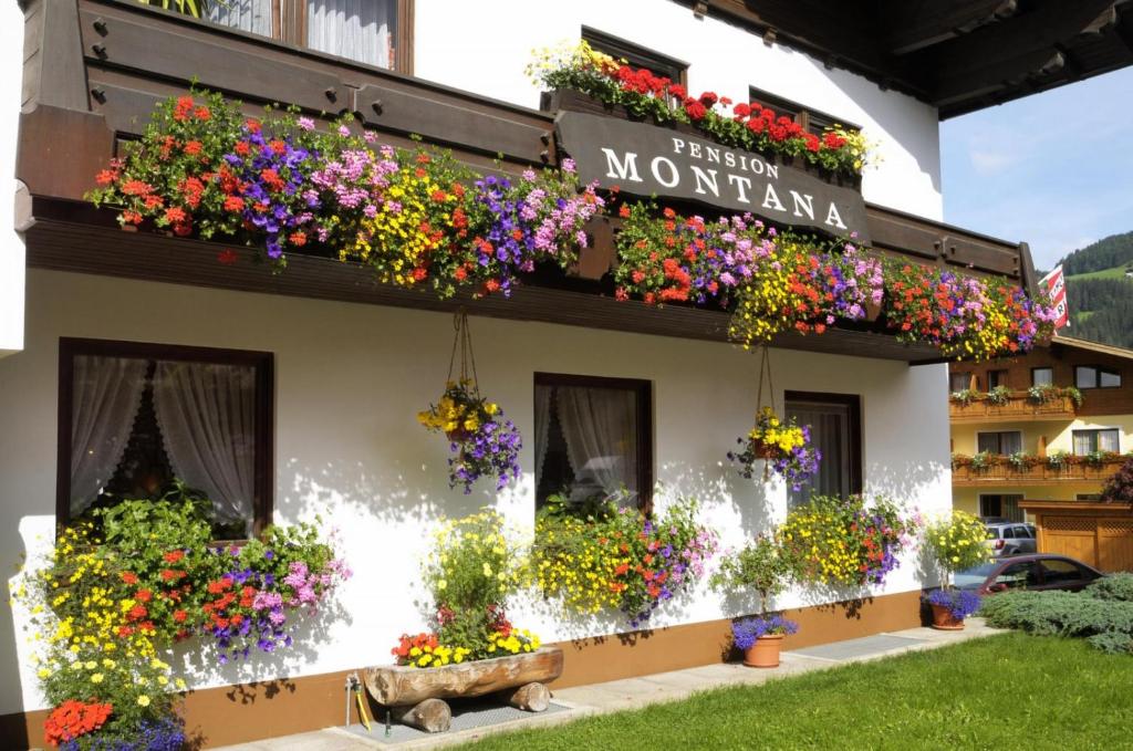 Pension Montana - 4