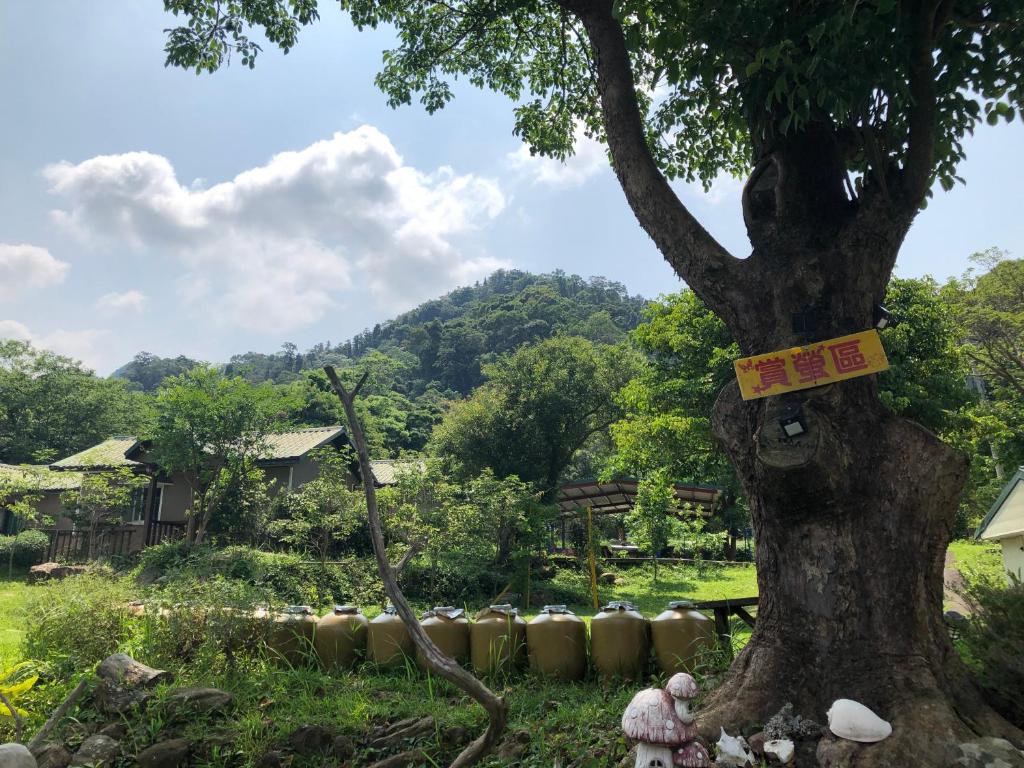 Surrounding environment