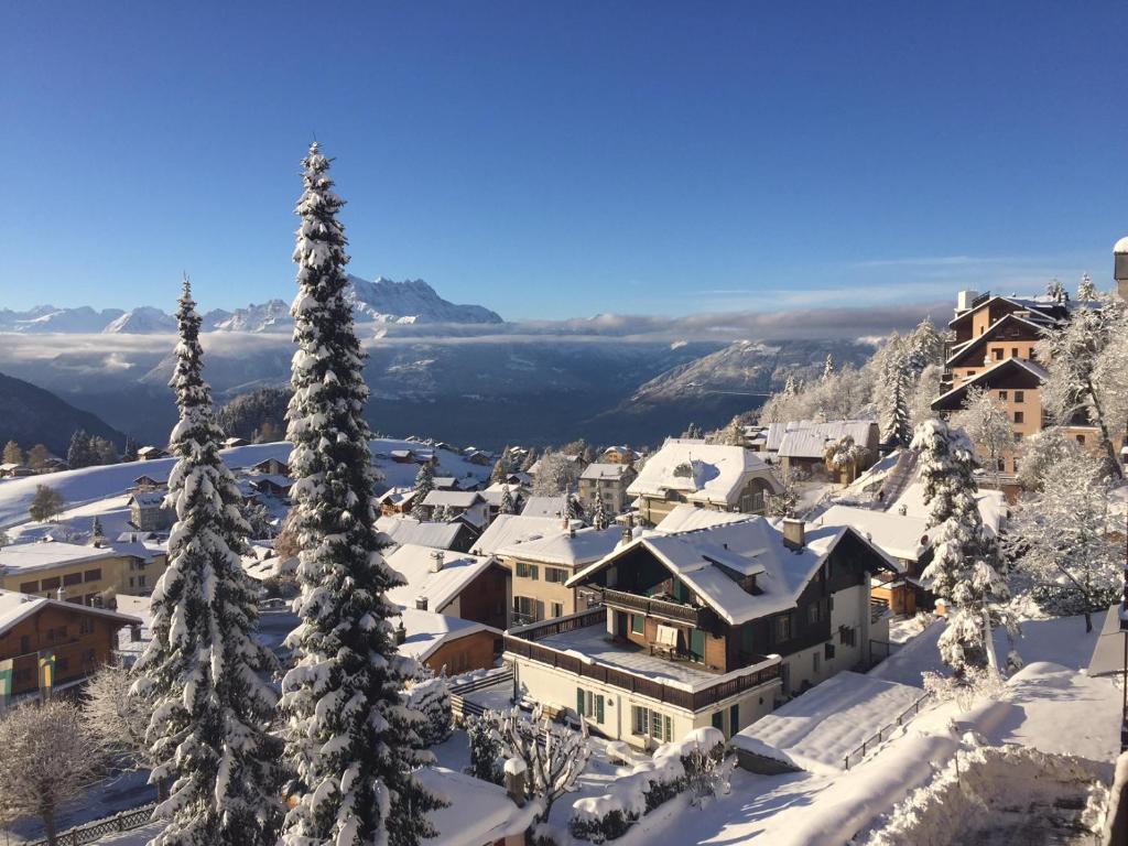 Perle de Leysin - 2