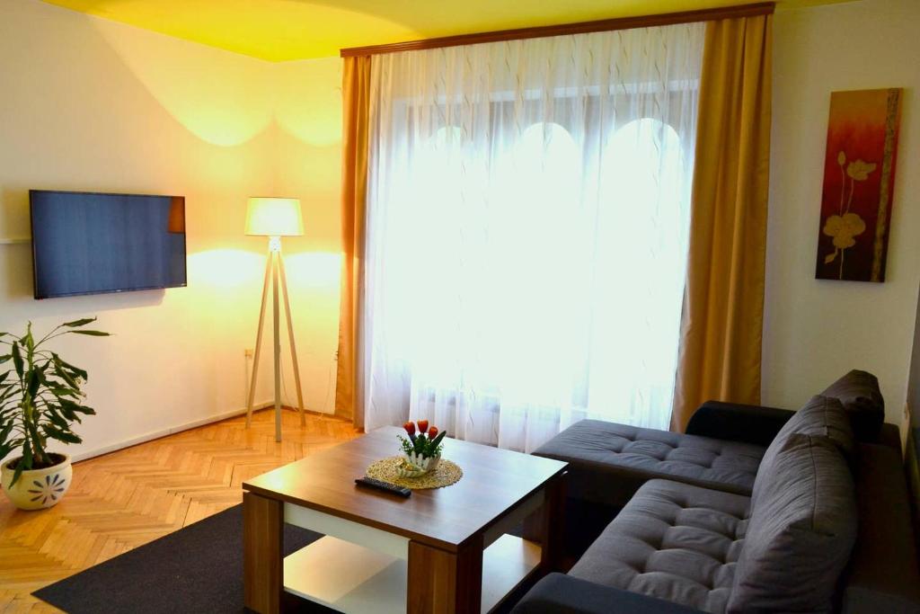 Riverside apartment #1. View over Fortress Kastel - 3