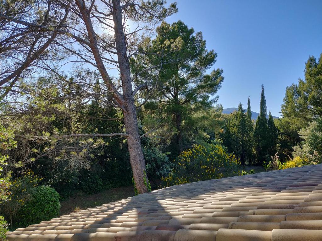 La Luberonne photo