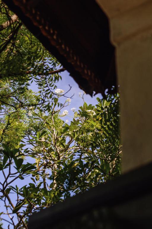 Surrounding environment