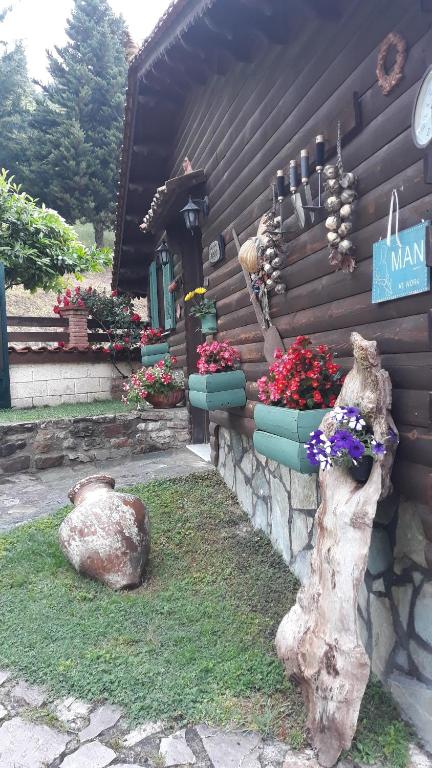 Traditional Guesthouse photo