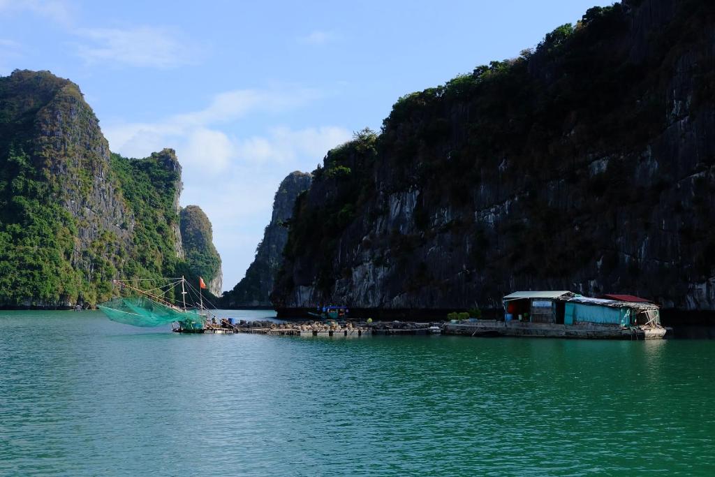 Cat Ba Bay Cruises