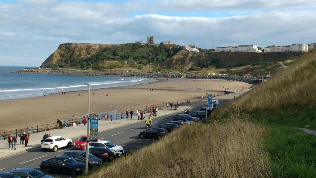 Surrounding environment, ARRAN in Scarborough