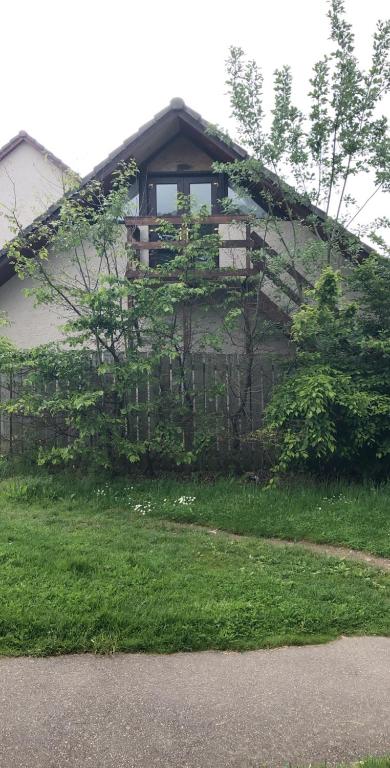 The Tree House photo