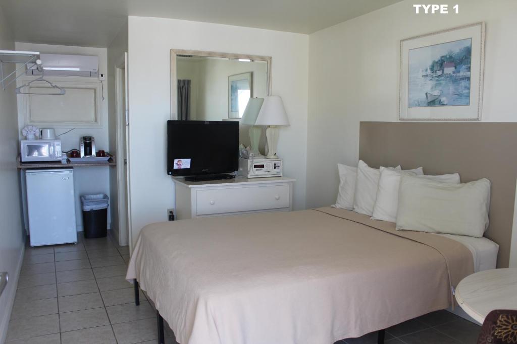 Condor Motel - Beach Block photo
