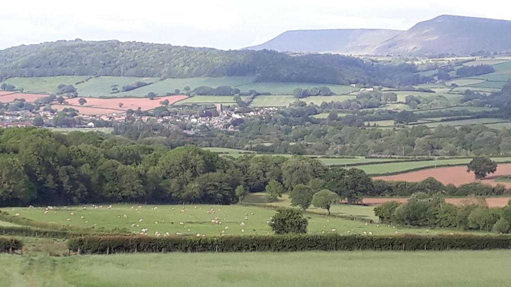 The Draen Bed and Breakfast photo