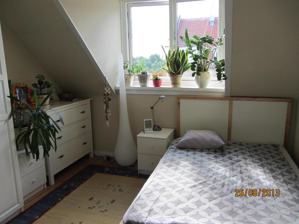 Cosy room in sydhavn photo
