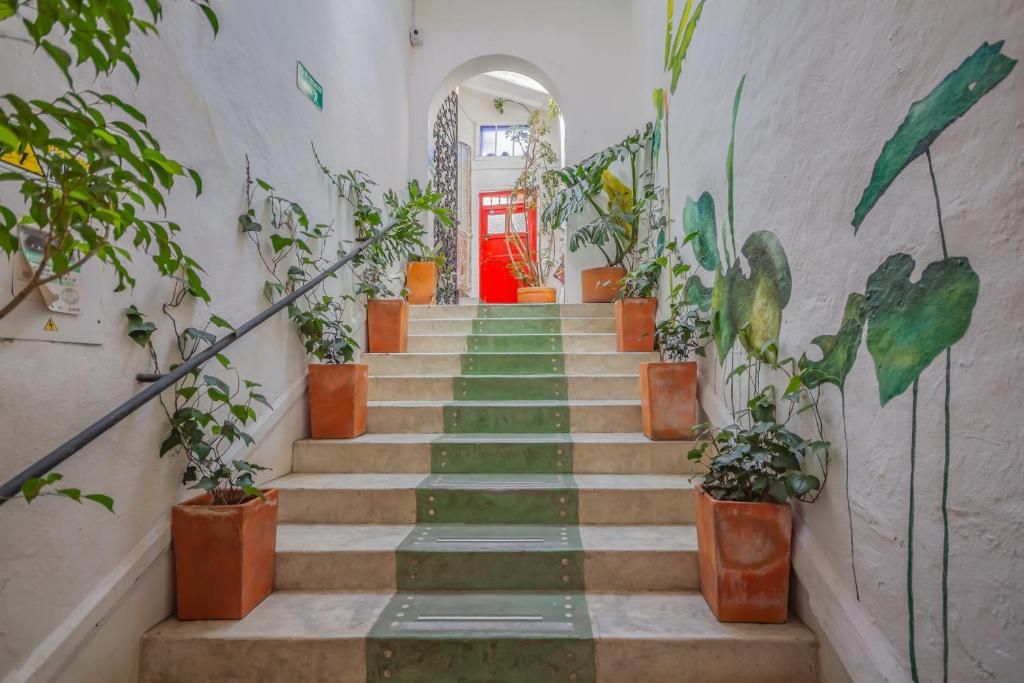 Botanico Hostel — Hotel in Bogotá