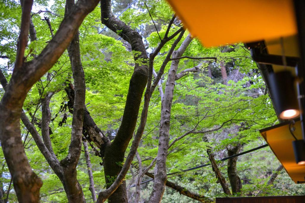Surrounding environment