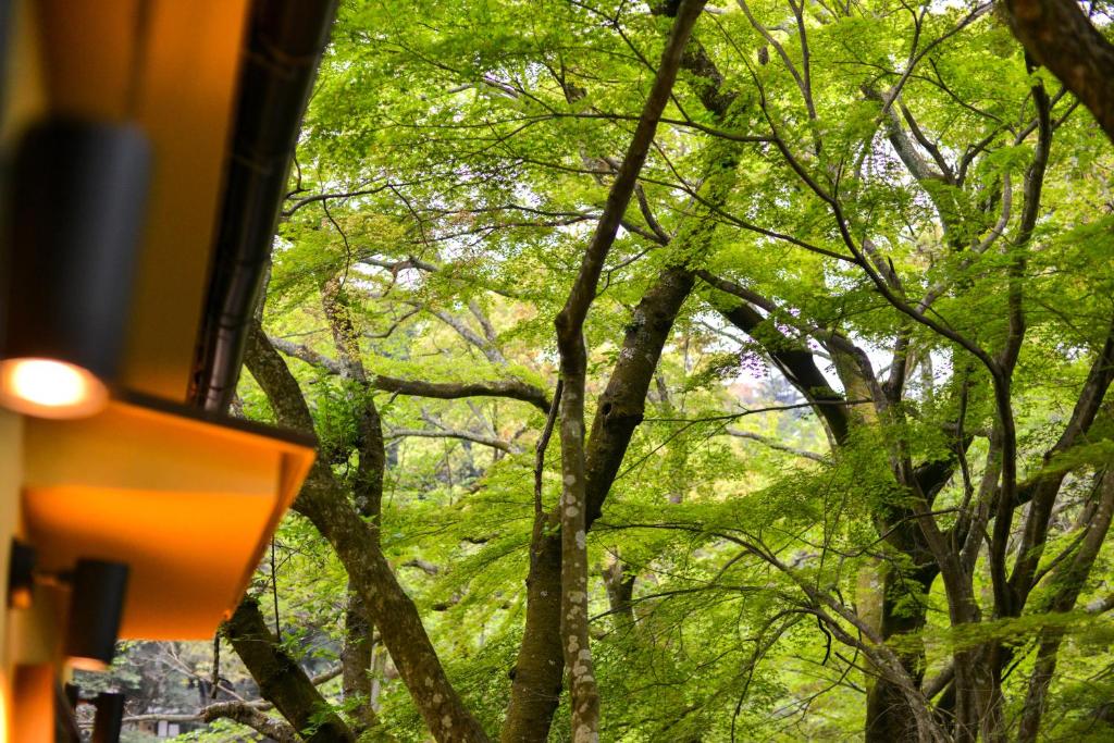 Surrounding environment