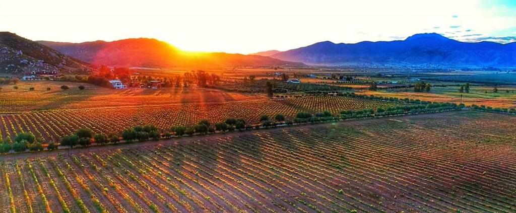 Surrounding environment