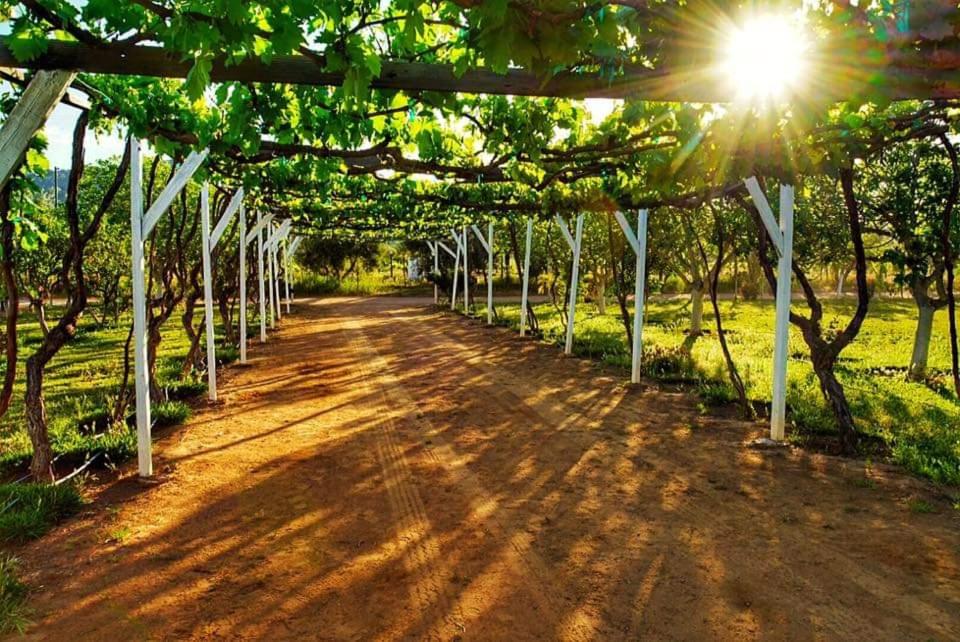 Surrounding environment