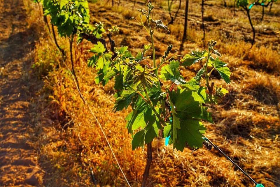 Surrounding environment