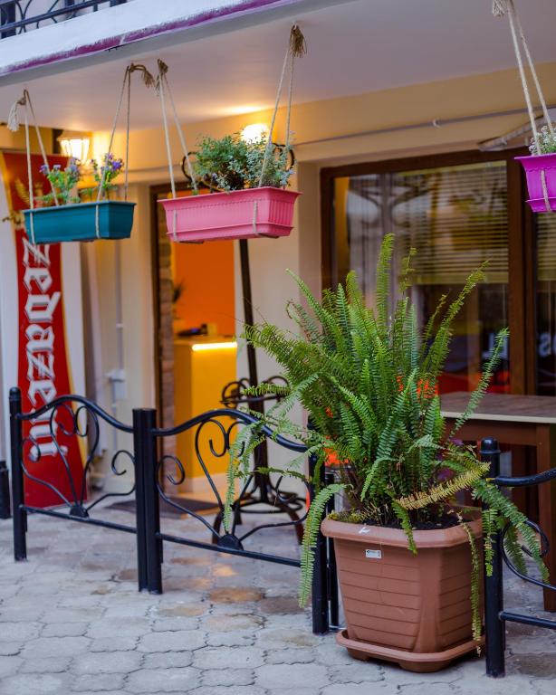 Batumi Surf Hostel photo