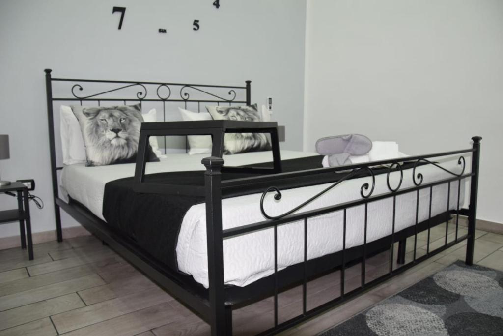 CASSINI'S HOUSE, Neapol