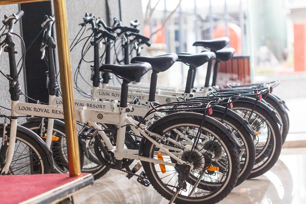 Sports and activities