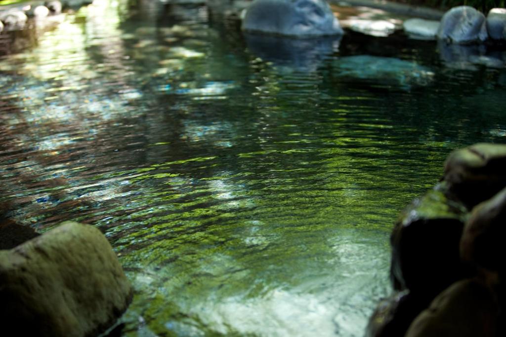 Hot spring bath