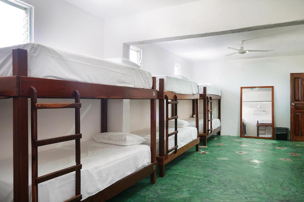 Red Panda Hostal - 4