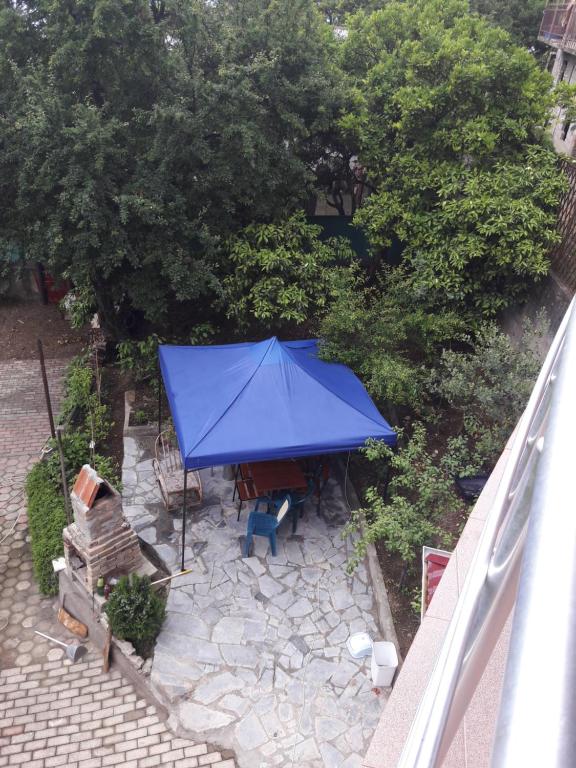 Sarpi In