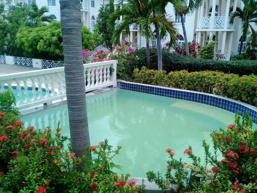 Studio Apartment! — Hotel in Ocho Rios