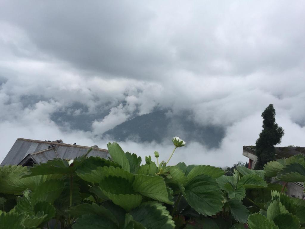 Benus — Hotel in Darjeeling