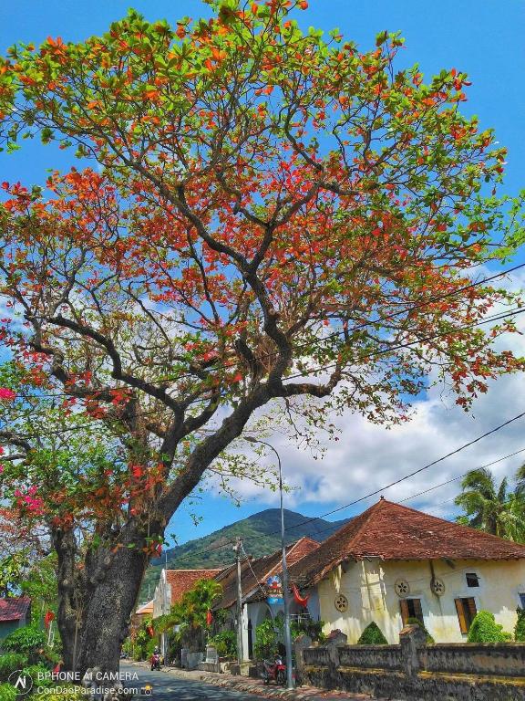KHÁCH SẠN THẢO LIÊN