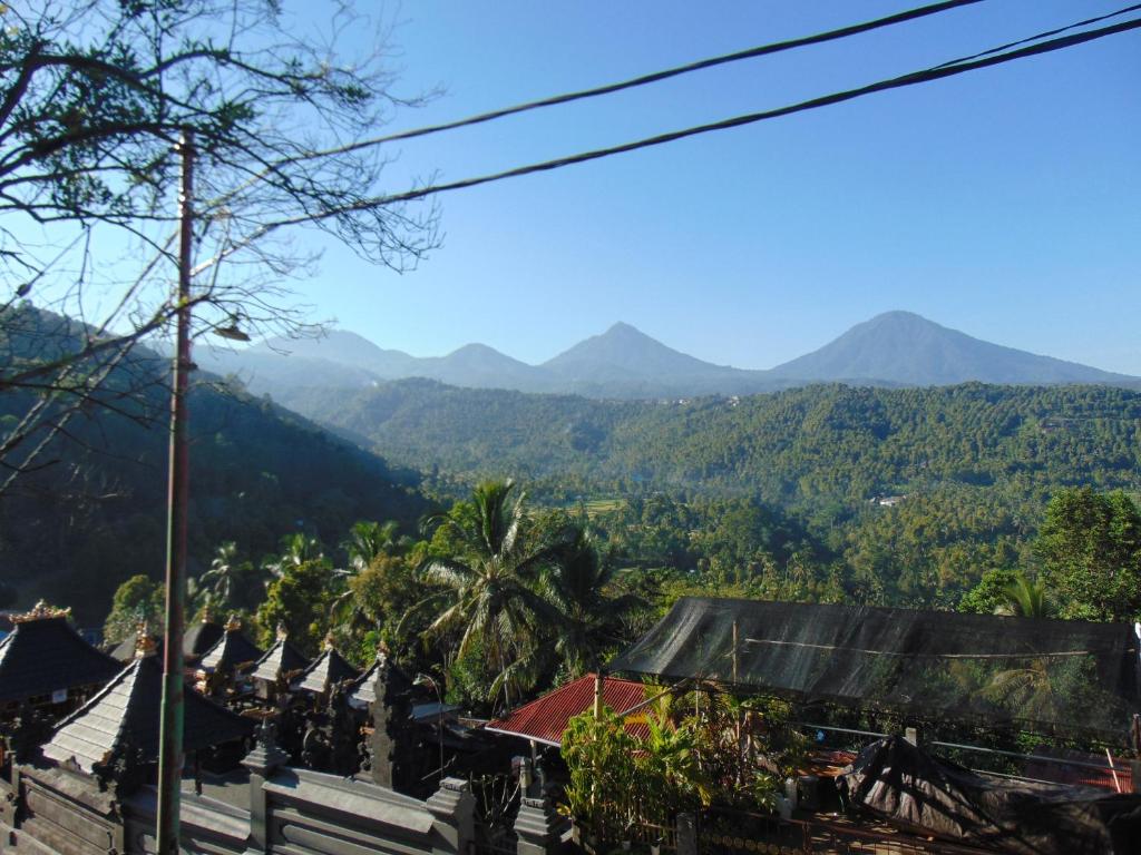 Surrounding environment