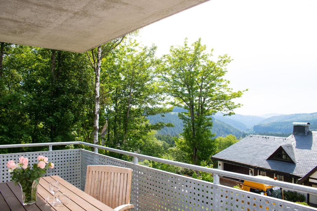 Welcome in - appartement aan de Erlebnisberg Kappe, aan de piste met balkon, fiets & skiberging, Winterberg