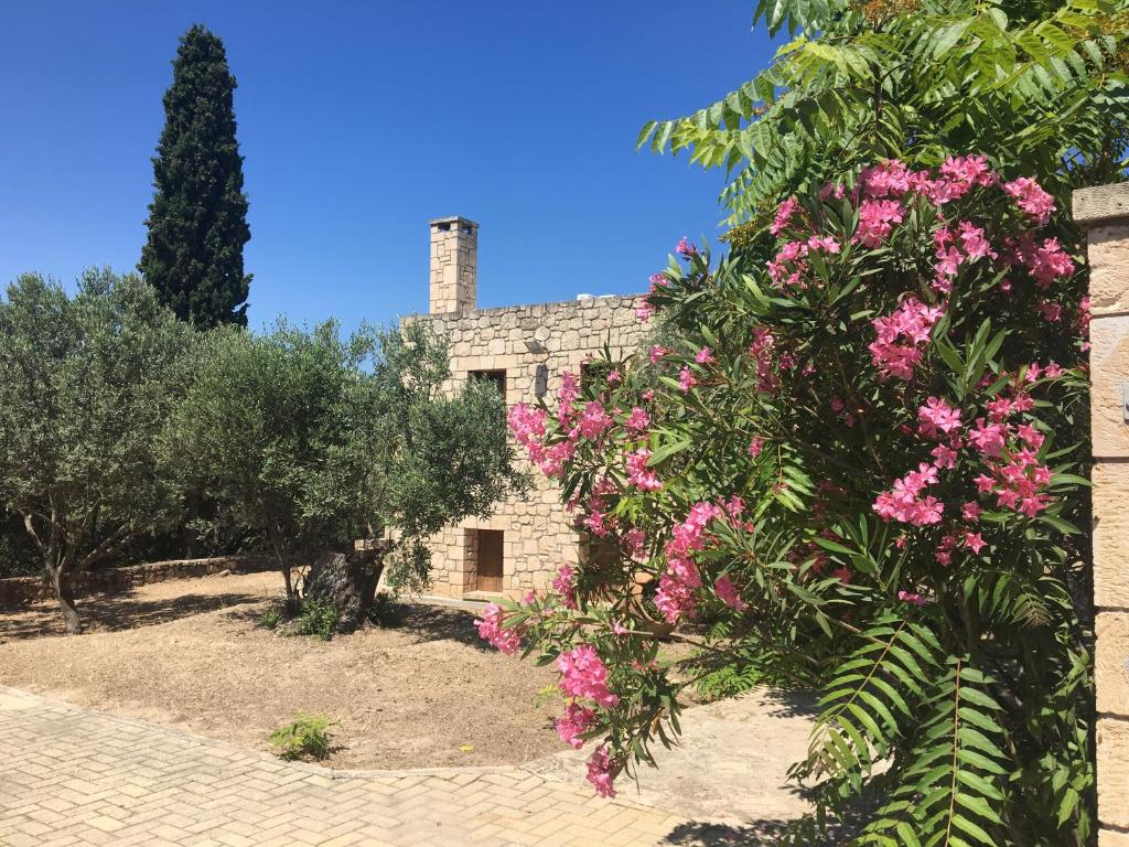 PYRGOS RALLI ESTATE Apartments and Suites — Hotel in Aegina