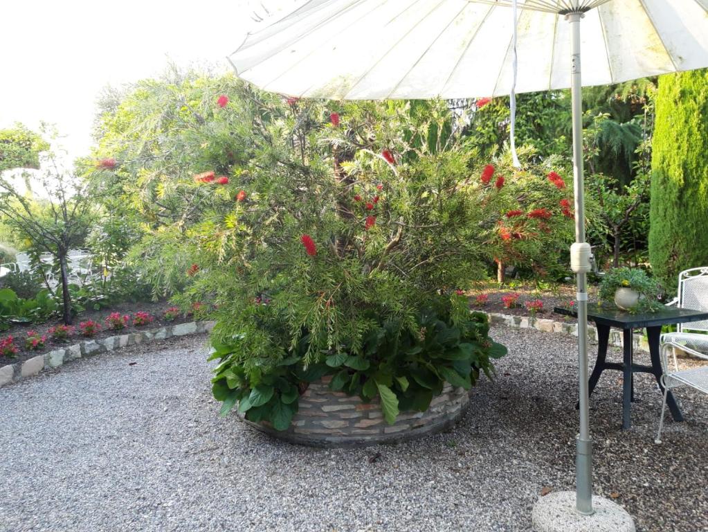 Debora Maison B&B photo