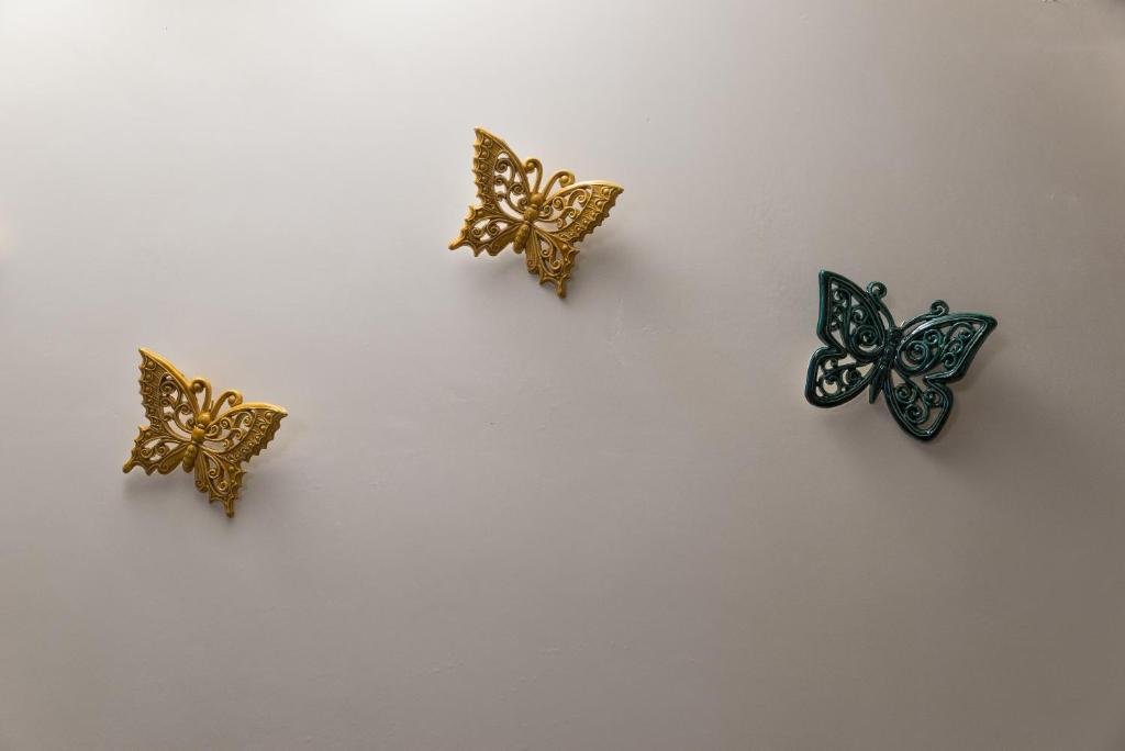 Casa delle farfalle - 4