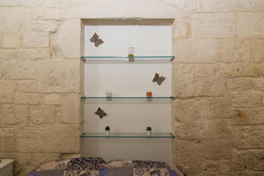 Casa delle farfalle - 5