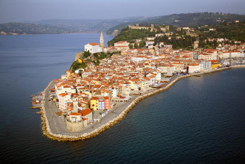 Apartma Dante photo