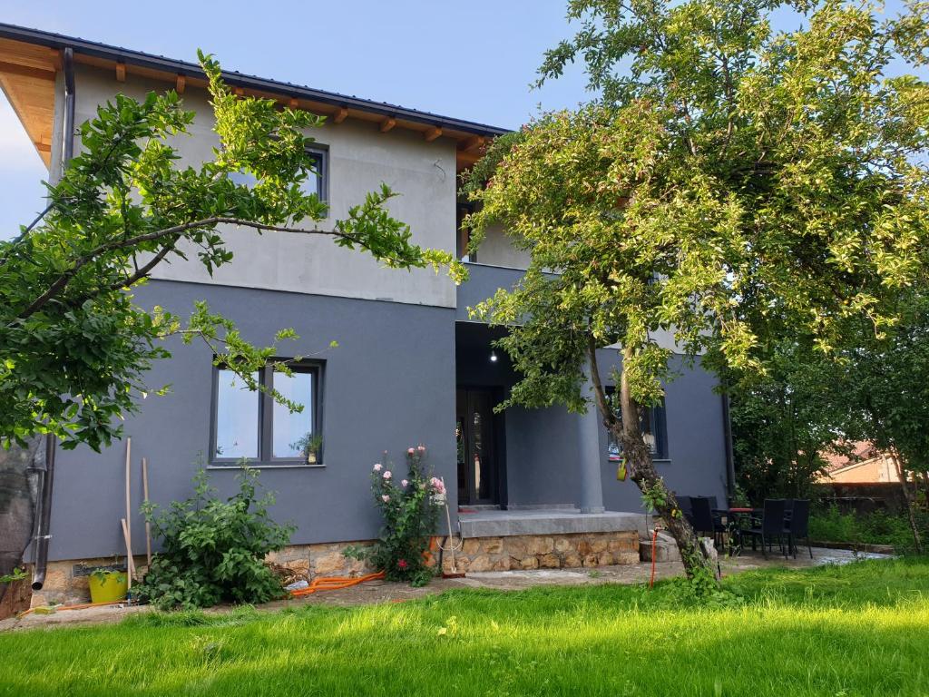 Bora — Hotel in Peje