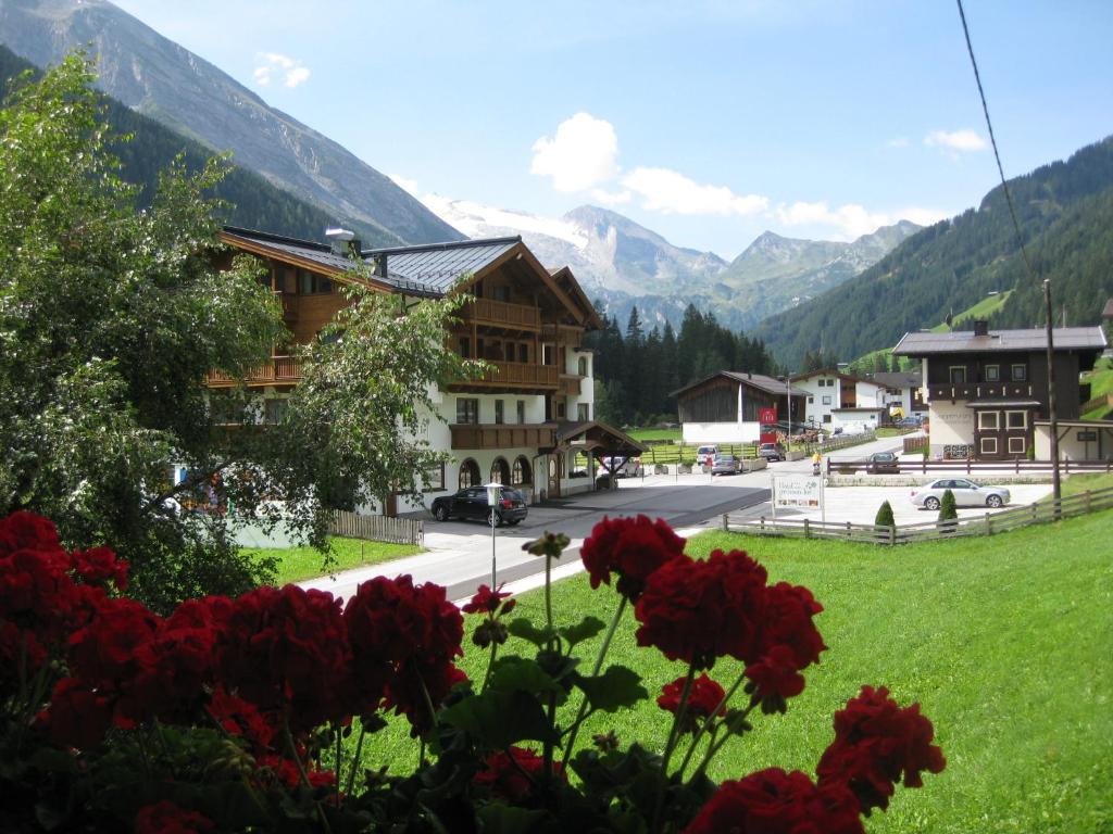 Haus Brigitta - 4