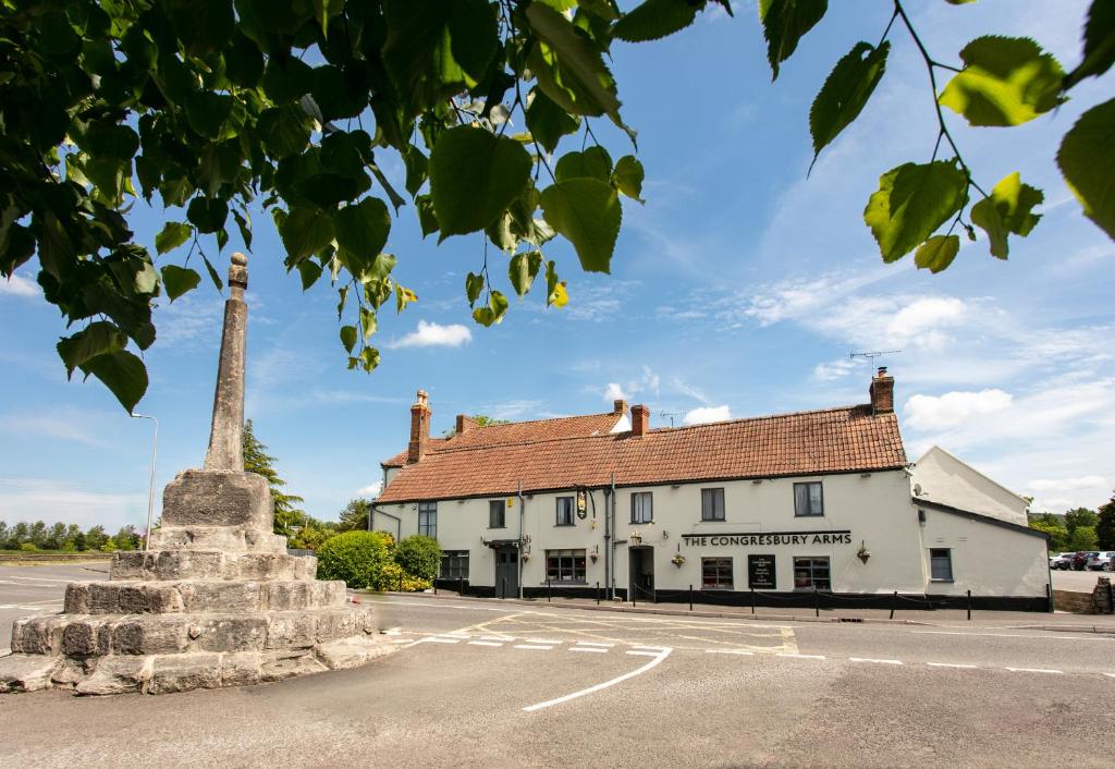 The Congresbury Arms photo