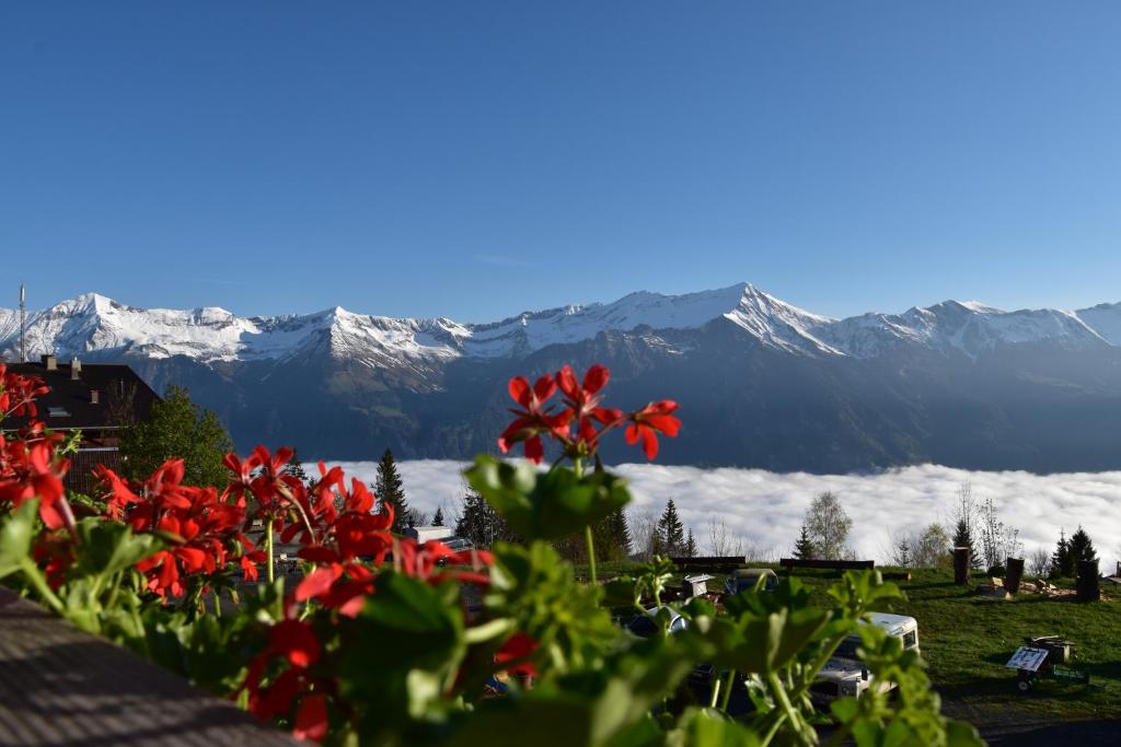 Chemihuttli Apartments Axalp photo
