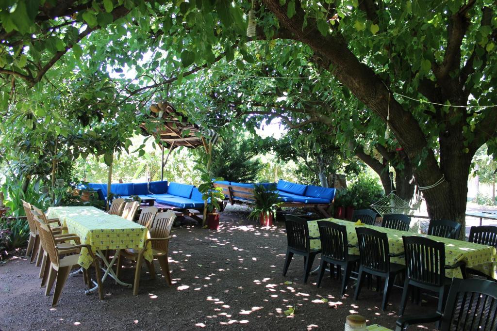 알리바바 펜션 호텔 이미지 2