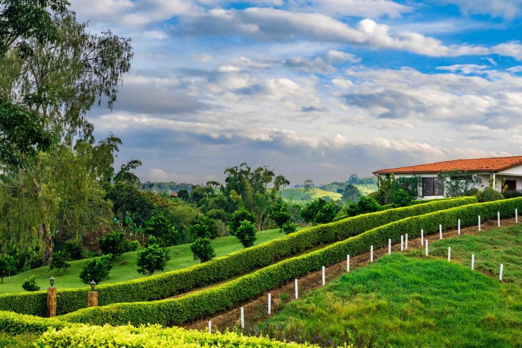 Surrounding environment