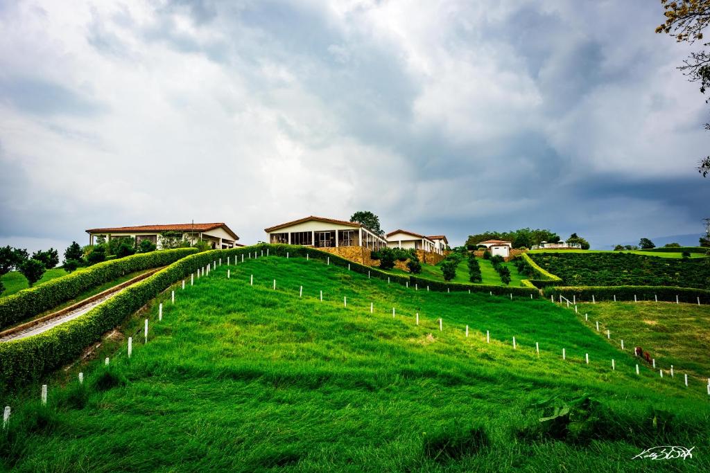 Surrounding environment