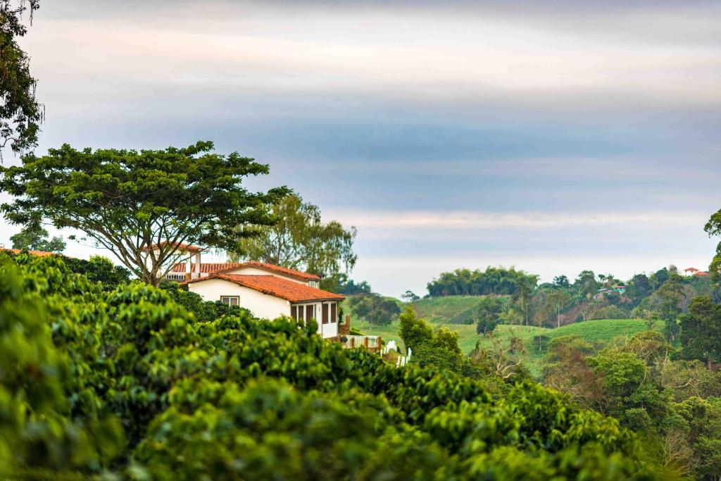 Surrounding environment