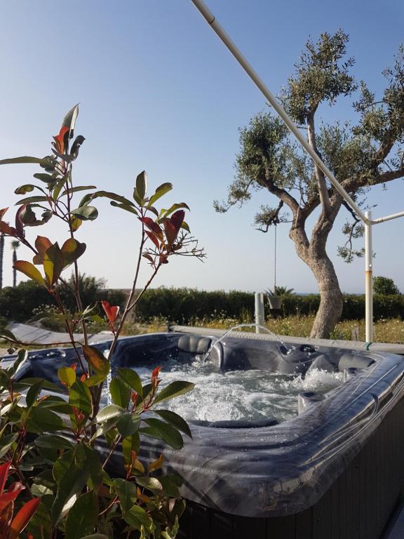 Bed & Breakfast del Faro 전경