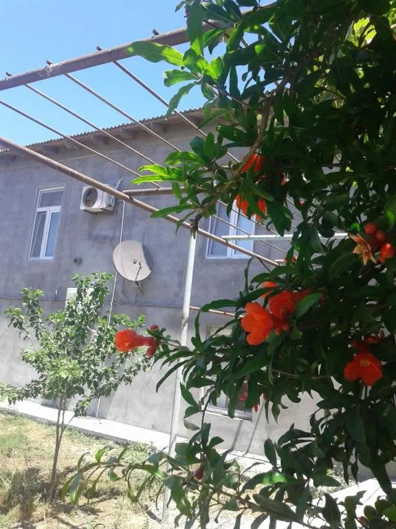 Guest House near Baku airport, hotel in Baku